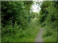 SN7067 : Dismantled railway near Ystradmeurig, Ceredigion by Roger  D Kidd