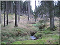 NY6292 : Unnamed Sike or Burn, Kielder Forest by Les Hull