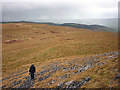 SD7970 : Limestone grassland above Moughton Scar by Karl and Ali