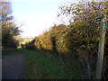 TM2980 : Mill Lane footpath by Geographer