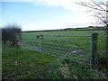 TA0072 : Field gates on the south side of the minor road by Christine Johnstone