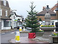 TQ1667 : Thames Ditton Christmas Tree by Colin Smith