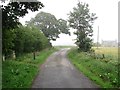 NO8791 : Outside Strathgyle Cottage, Hill of Muchalls by Richard Webb