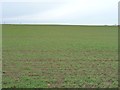 SE4731 : Large crop field north of Whitecote Lane by Christine Johnstone