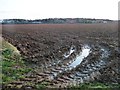 TF0001 : Muddy field entrance, west side of The Drove by Christine Johnstone