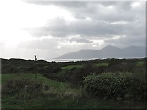  : Undulating pasture land above Dundrum Bay by Eric Jones