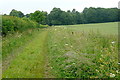 SU5231 : Footpath towards Avington by Graham Horn