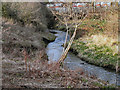 SJ8393 : Chorlton Brook by David Dixon