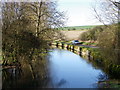 SU0425 : River Ebble, Broad Chalke - 13 by Maigheach-gheal