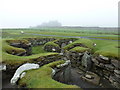 HU3909 : Jarlshof: Iron Age round houses by Chris Downer