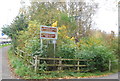 SU8755 : Blackwater Valley Path off Coleford Bridge Rd by N Chadwick