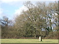 TQ5459 : Trig point near Otford by Malc McDonald