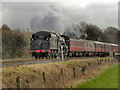 SD8012 : Lancashire Fusilier at Burrs Country Park by David Dixon