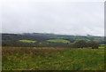 SY5298 : Rough pasture near North Poorton by Nigel Mykura