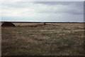 TQ8478 : Allhallows-on-Sea, looking north-east by Christopher Hilton