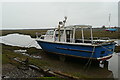 SS8648 : Shalimar at Porlock Weir by Graham Horn