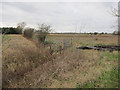 TL7096 : New hedge off Thornham Road by Hugh Venables