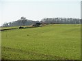 SE4909 : Footpath sign on North Field Road by Christine Johnstone