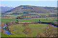 SN6579 : Fields by the Rheidol by Nigel Brown