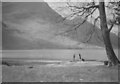 NY1915 : Buttermere shore by Ted Flitcroft