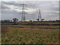 SJ7593 : Path Behind Redesmere Park by David Dixon