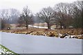 SO8278 : View across the frozen Staffs & Worcs Canal, near Wolverley by P L Chadwick