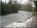 SU8053 : Frozen Basingstoke canal by Mr Ignavy