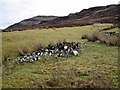 NG3838 : Clearance cairn in Glen Bracadale by Richard Dorrell