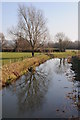 SO7404 : Tree reflected in the River Cam by Philip Halling