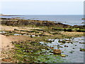 NO5704 : Shoreline, Anstruther Easter by Maigheach-gheal