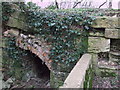 SU1997 : Culvert, disused Thames and Severn Canal by Vieve Forward