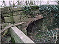 SU1997 : Culvert, disused Thames and Severn Canal by Vieve Forward