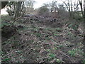 SU1997 : Canal bed, disused Thames and Severn Canal near Dudgrove Farm by Vieve Forward