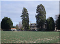 SP1900 : Fir Trees, Claydon, near Lechlade by Vieve Forward