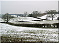 SO9866 : Fields Near Lower Bentley by Nigel Mykura