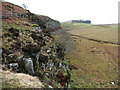 NY7567 : Peel Crags: looking west in February by John Sutton