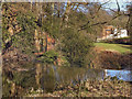 SJ8382 : River Bollin, Quarry Bank Mill by David Dixon