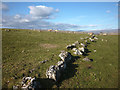 NY6812 : Line of stones, bridleway on Holborn Hill by Karl and Ali