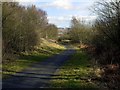 NZ1763 : Blaydon Burn waggonway by Andrew Curtis