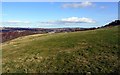 NZ1763 : Reclaimed industrial land above Blaydon Burn by Andrew Curtis