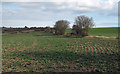 TL9503 : Arable Land near St Peter's Way by Roger Jones