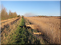 TG4001 : Reed bales for thatching by Hugh Venables