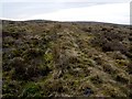 NS4481 : Remains of a field dyke by Lairich Rig