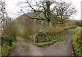 ST1212 : Entrance to Conigar Farm by Derek Harper