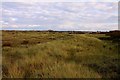 SD3130 : Starr Hills dunes by Steve Daniels