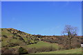 SJ9572 : Saddlers Way/ Tegg's Nose Trail by Peter Turner