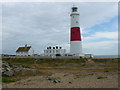 SY6768 : Portland Bill - Lighthouse by Chris Talbot