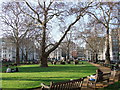 TQ2880 : Berkeley Square, Mayfair by PAUL FARMER