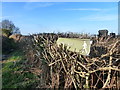 ST3196 : Displaced footpath sign, and footpath, near Croeswen by Ruth Sharville