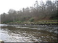 NO6995 : River Dee near Woodend by Stanley Howe